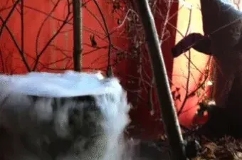 Party Special Effects