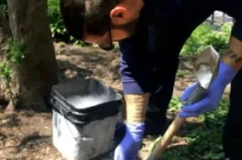 Pest Control