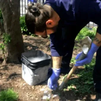 Pest control dry ice application